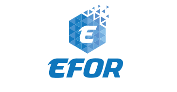 Efor Lojistik